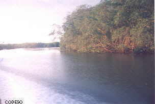 Cayapas Mataje Mangroven-Ökologisches Reservat Manglares cerca de Changuaral Esmeraldas