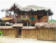 Eco- Hostal Latorre Hostería Noroccidente Pichincha Mindo