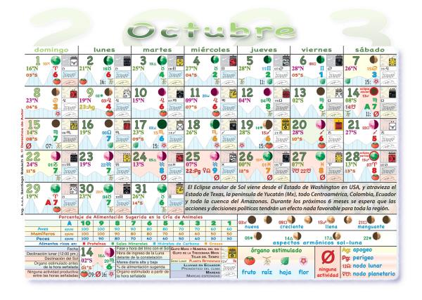 2024 2025 Almanaque Calendario lunar con las fases lunares Actividades agricolas