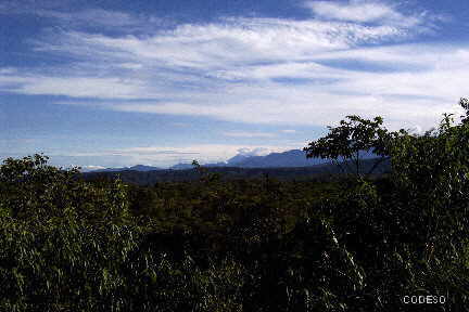 Vista al Oriente y al Parque Nacional Sangay Puyo - Provincia de Pastaza