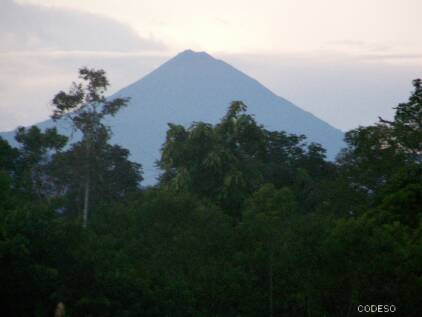 Parque Nacional Sumaco