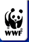 WWF World Wildlife Fund